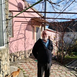 ����, 66 ���, ���������