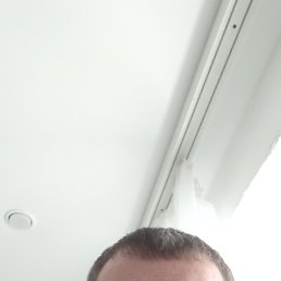 ������, 41 ���, ���������