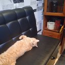 ���� ������, �����, 53 ���� - ��������� 13 ������� 2023