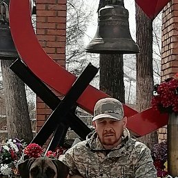 ����, 51 ���, �������