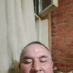 �����, 49 ���, ������