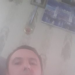  , 37, 