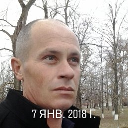 �����, 47 ���, ���������