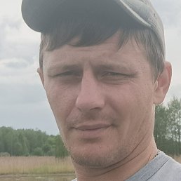 �������, ��������, 36 ���