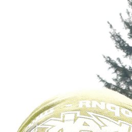 �����, �������, 45 ���