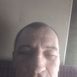 �������, �����������, 49 ���