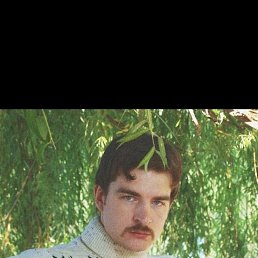 ������, 38 ���, ��������