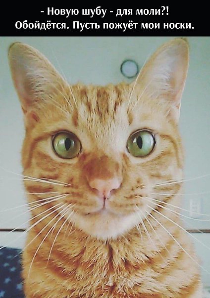 ��� ���� � ����� �� �� - 14 ������� 2025 � 21:33 - 2