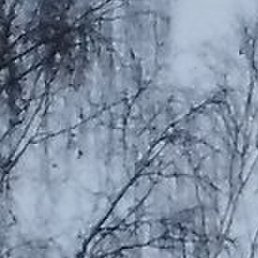 ����, ������������, 60 ���