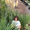 ���� �������, ������-��-����, 64 ���� - ��������� 4 ������ 2025 � ������ ���� ����������