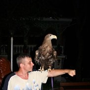 ���������, 52 ����, �������