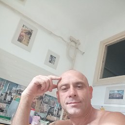 , 44, 