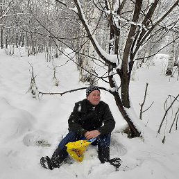 ����, ������, 46 ���