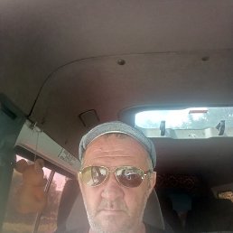 ���� ����, ����, 54 ���� - ��������� 12 ������� 2026