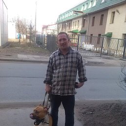 ������, �����-���������, 46 ���