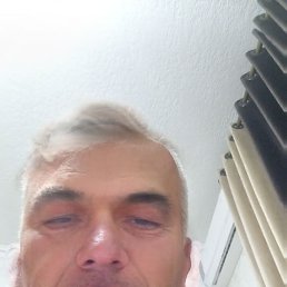 , 54, 