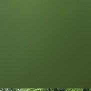 ��������, 39 ���, ������