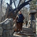 ���� �������, �����������, 67 ��� - ��������� 7 ������ 2024 � ������ ���� ����������