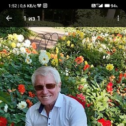 ���� ��������, �����-���������, 77 ��� - ��������� 15 ������ 2023