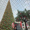 ���� �������, ������, 54 ���� - ��������� 26 ������ 2026 � ������ ���� ����������