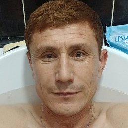 �����, ������, 41 ���