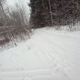 �����, ��������, 23 ����