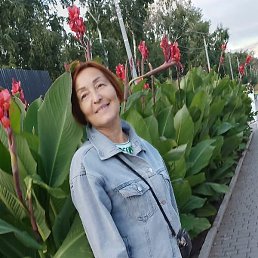 �������, ��������, 61 ���