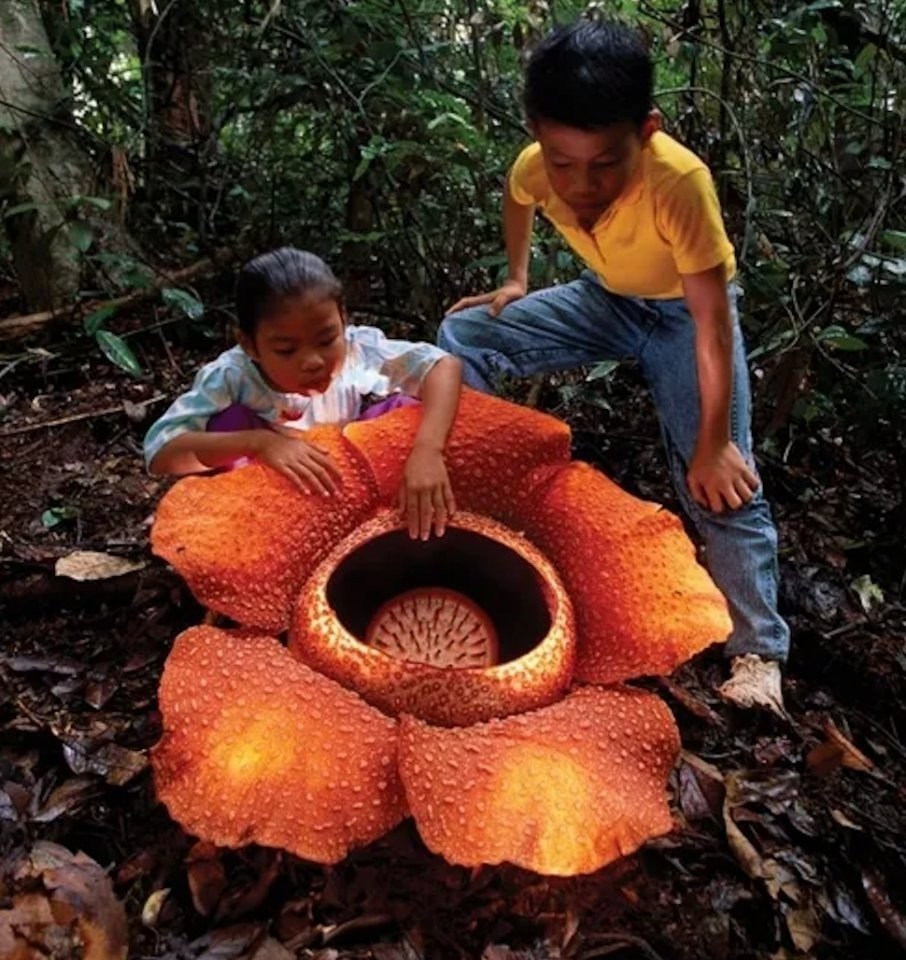    ,   13 :       ... - 2