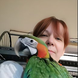 Vita, ������