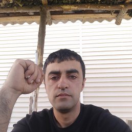 , 33, 