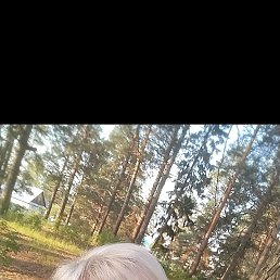  , -, 48  -  17  2025