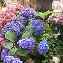 ���� �������, �����, 49 ��� - ��������� 14 ������� 2025 � ������ �������