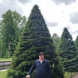 ����, �������, 53 ����