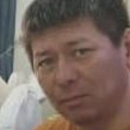 �����, ����, 49 ���