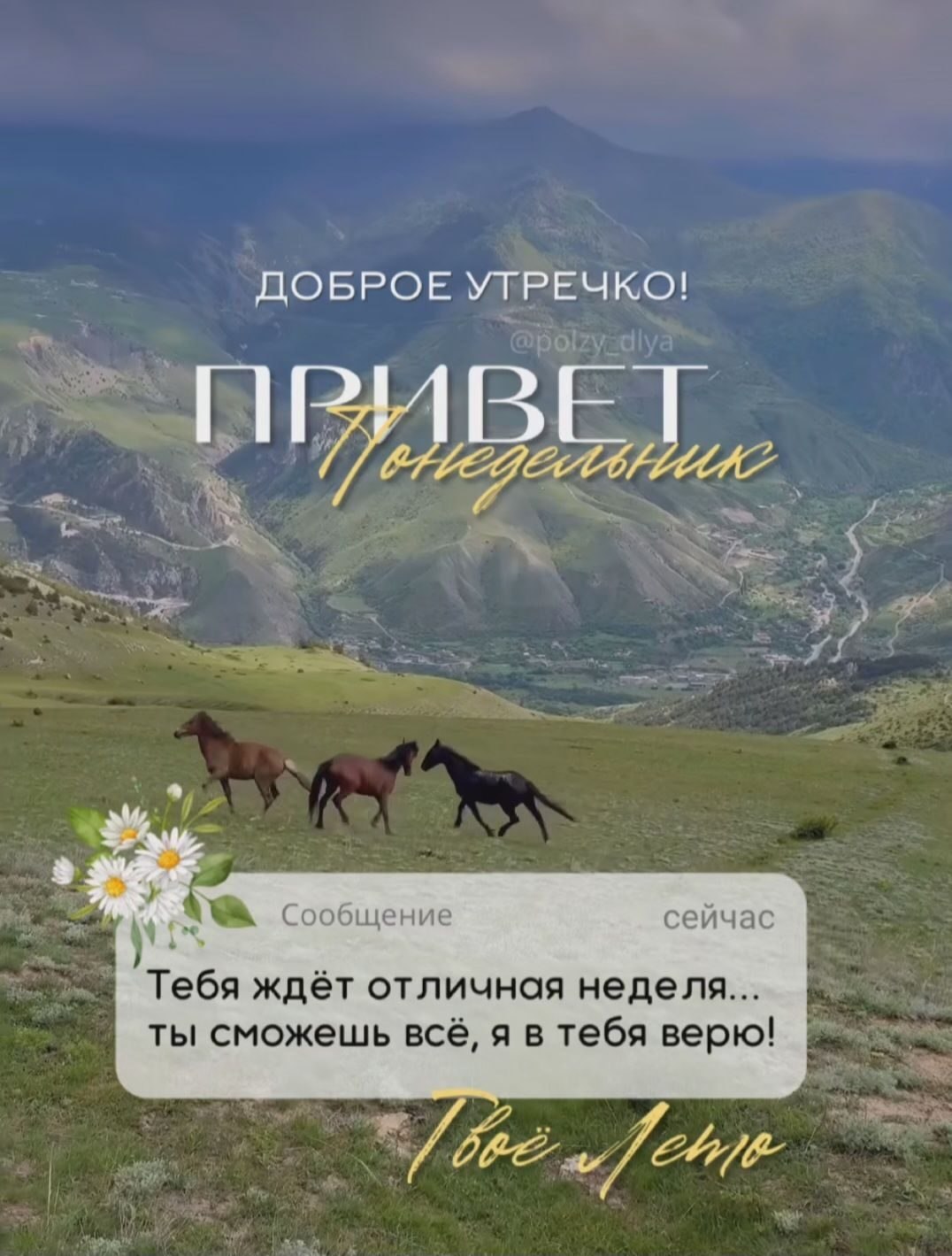 — О чём шепчет лето? — О счастье, конечно же. О маленьком доме у синего моря, Ещё оно шепчет о саде ...