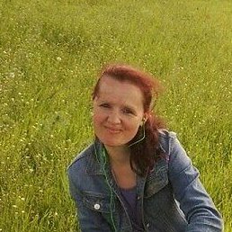 ������, ����������, 44 ����