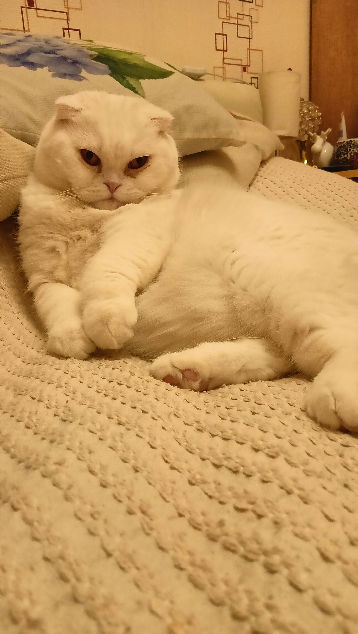 ����� ������� - 7 ������� 2025 � 10:43