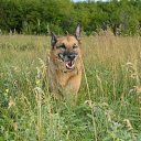 ���� ������, ��������, 38 ��� - ��������� 10 ����� 2024 � ������ ���� ����������