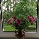 ���� ����������, ������ - ��������� 2 �������� 2024 � ������ ���� ����������