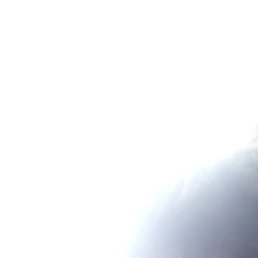 ������, �����������, 24 ����