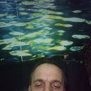 ���� ������ ������, ������, 55 ��� - ��������� 30 ������ 2024 � ������ ���� ����������
