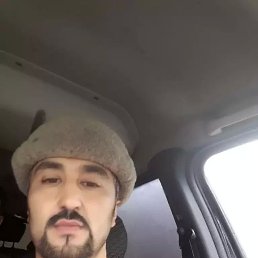 , 41, 