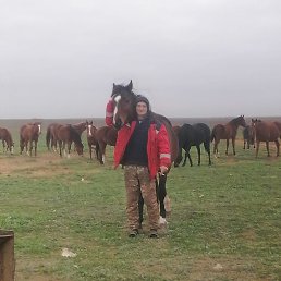 ����, ������, 52 ����