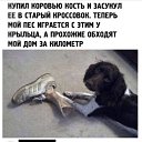 ���� Alex, ������, 62 ���� - ��������� 29 �������� 2025 � ������ ������ ��������