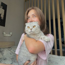 ���� ����, ������, 20 ��� - ��������� 4 ������ 2026