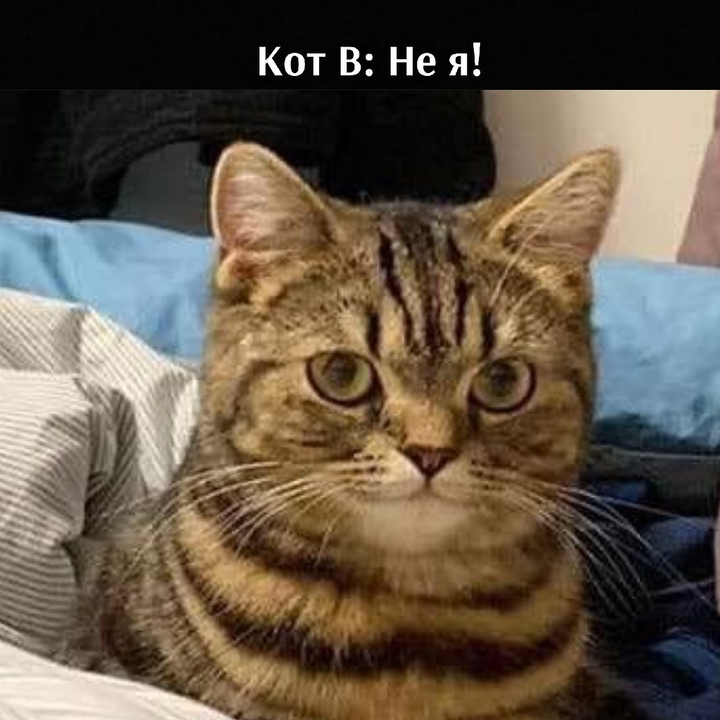 ��� ���� � ����� �� �� - 20 ����� 2026 � 17:00 - 3