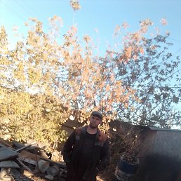 ������� ������, 42 ����, �����