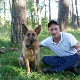 ����, 42 ����, ����