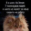 ���� Kat�in, ������ - ��������� 31 ����� 2026
