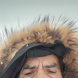 , 46, 